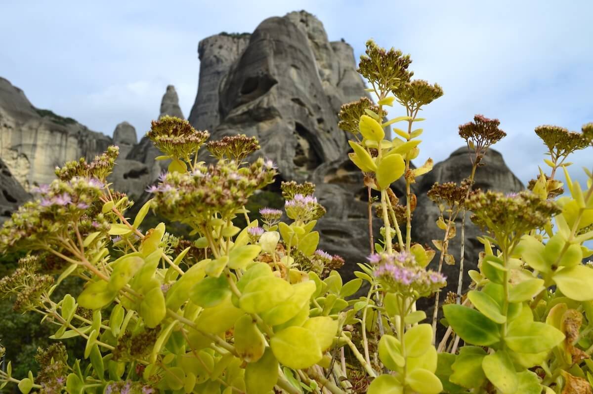 Nature at Meteora