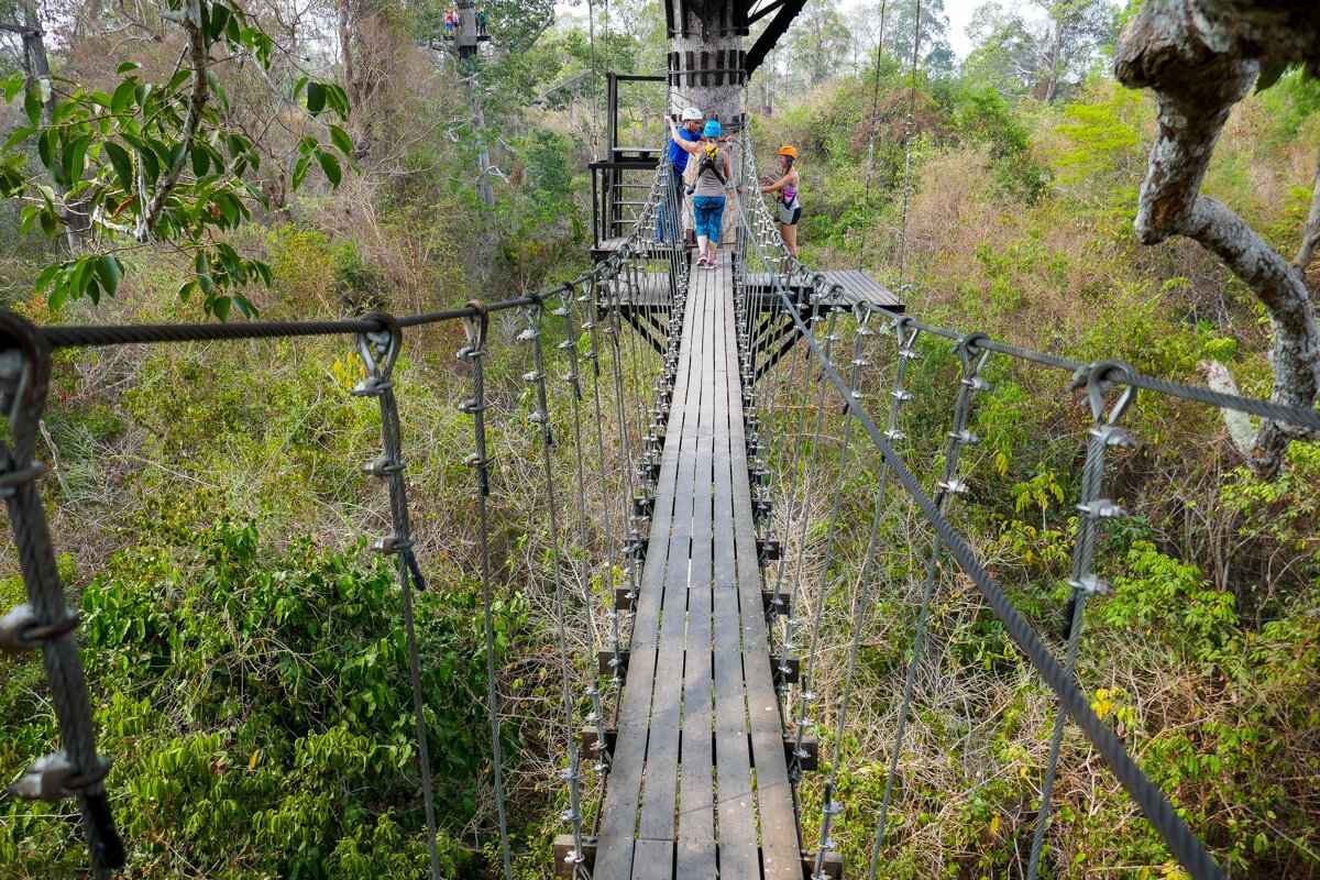 Flight of the Gibbon in Angkor Park