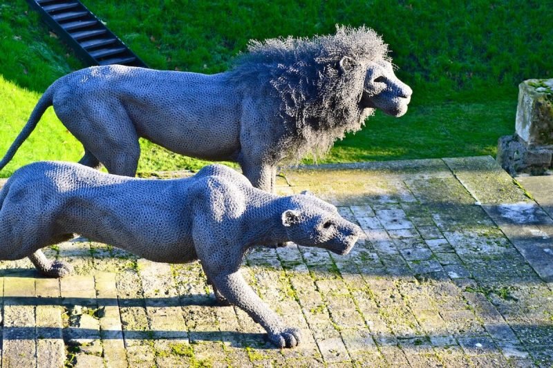 Lions at the Tower of London