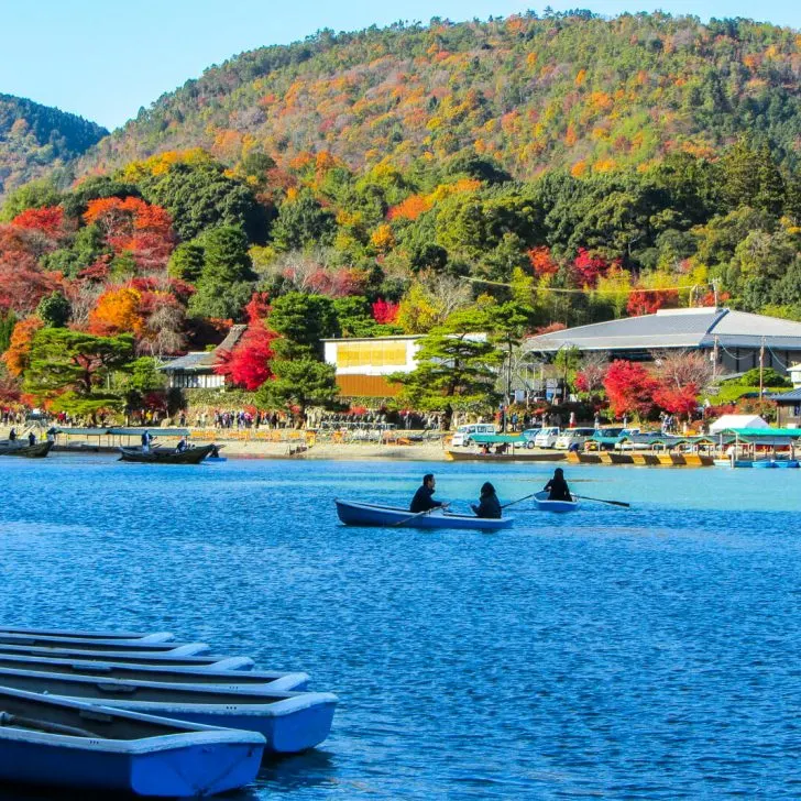 The natural beauty of Arashiyama, Japan