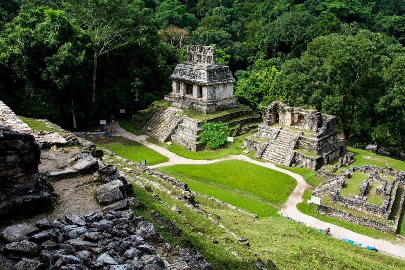 Palenque Mayan Ruins: The Ultimate Guide