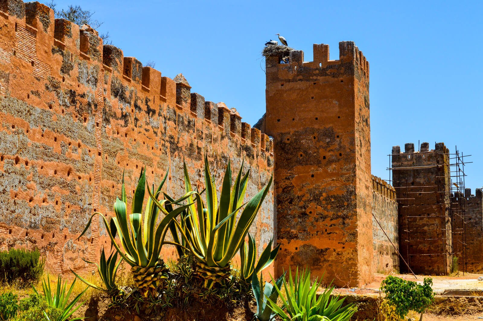 5 Wonderful Things to Do and See in Rabat, Royal Capital of Morocco