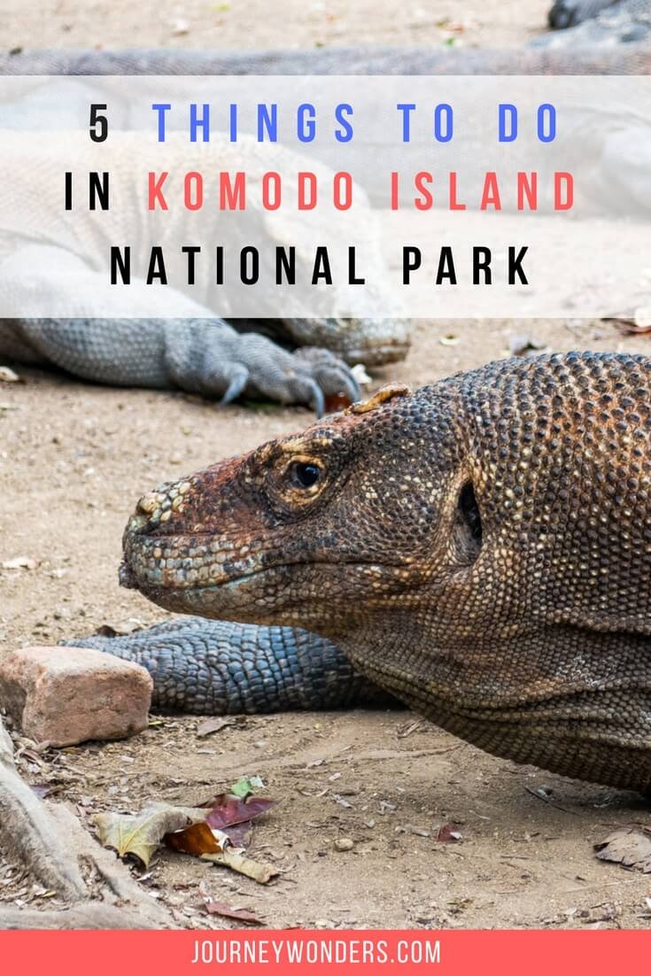 Komodo National Park The Last Vestige Of A Jurassic World Of Wonders