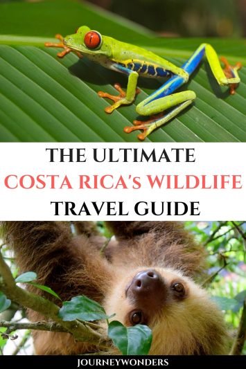 The Ultimate Costa Rica's Wildlife Travel Guide