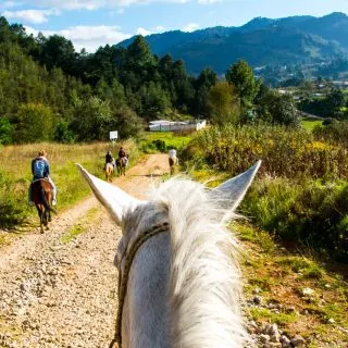 Things to do in San Cristobal de las Casas, Horseback ride to Chamula