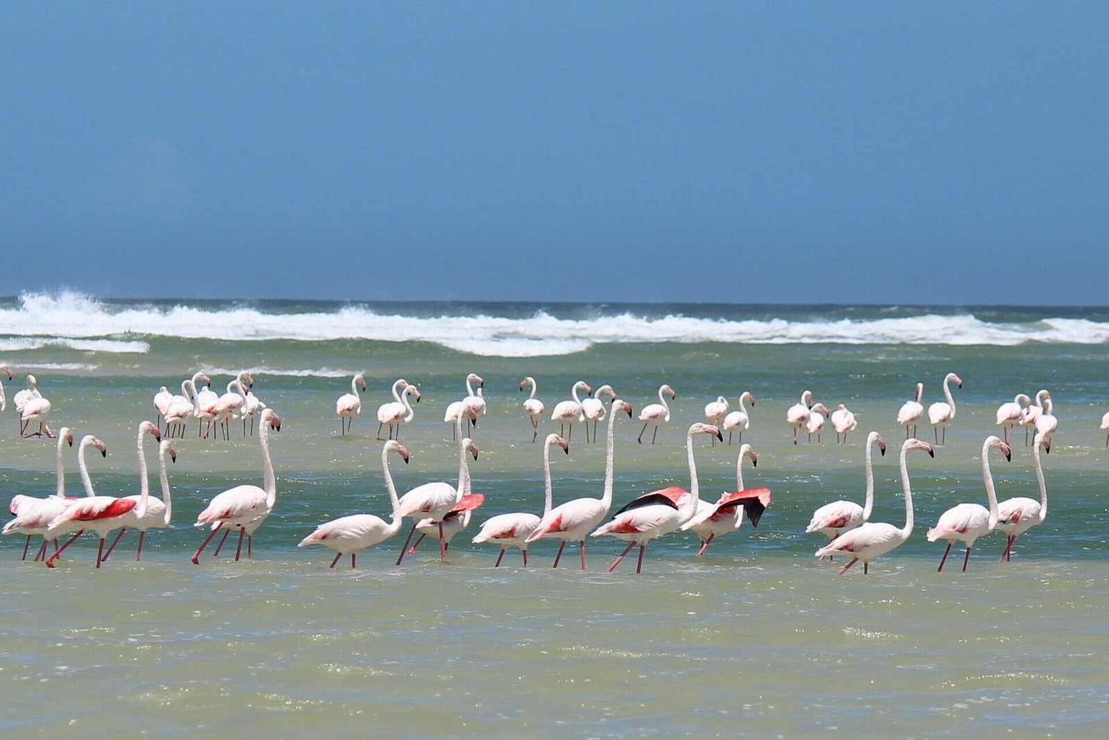 The Best Things to Do and See in Holbox Island and How to Get There