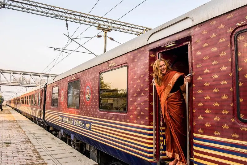 Midnight Blue Elephant at the Maharahaj Express, one of the Luxury Trains of India