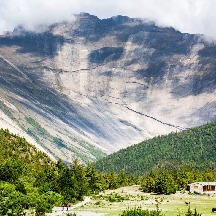 Nature, nature and more nature at the Annapurna Circuit Trek of Nepal