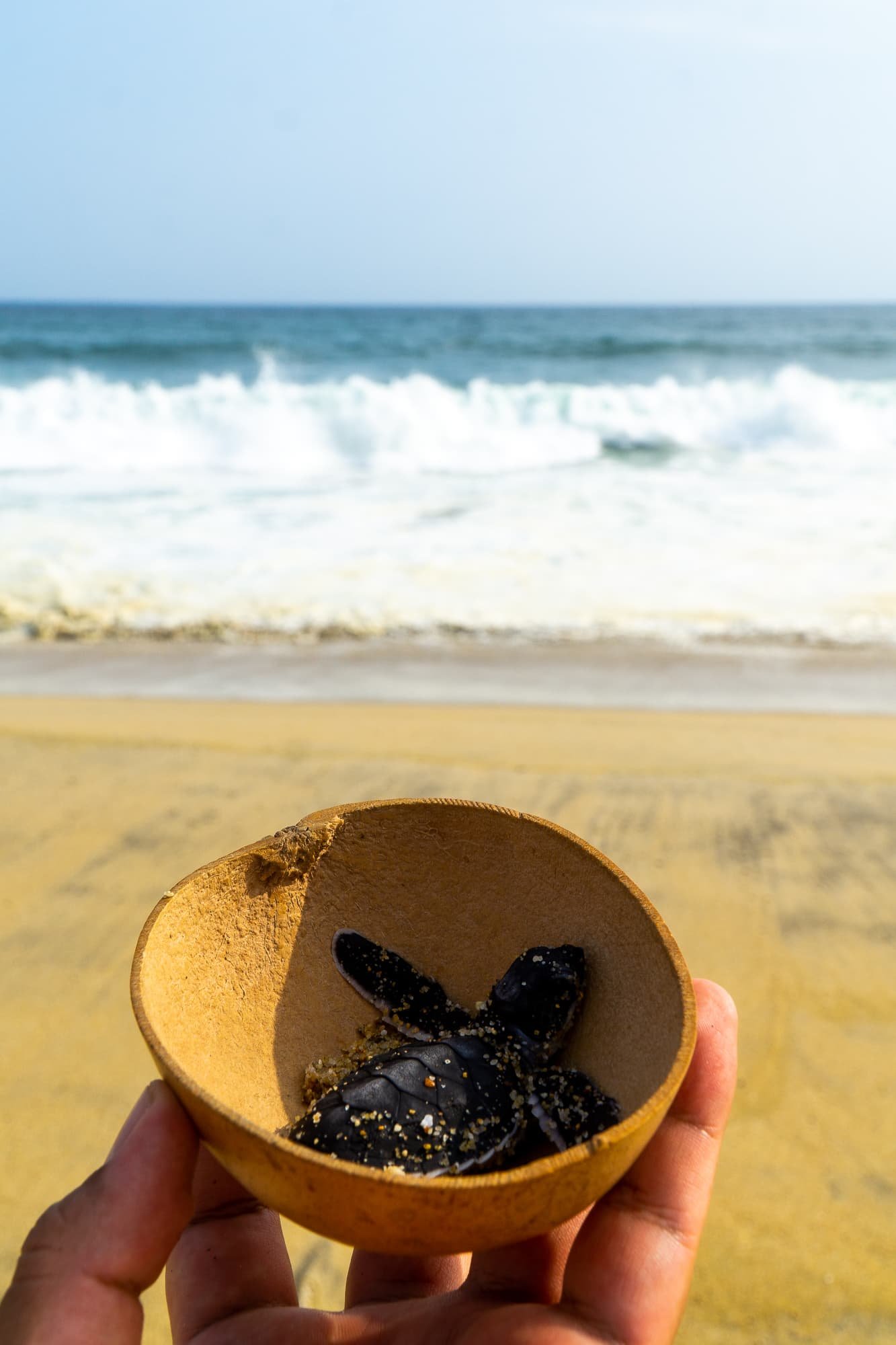 The 7 Best Oaxaca Beaches: The Ultimate Travel Guide