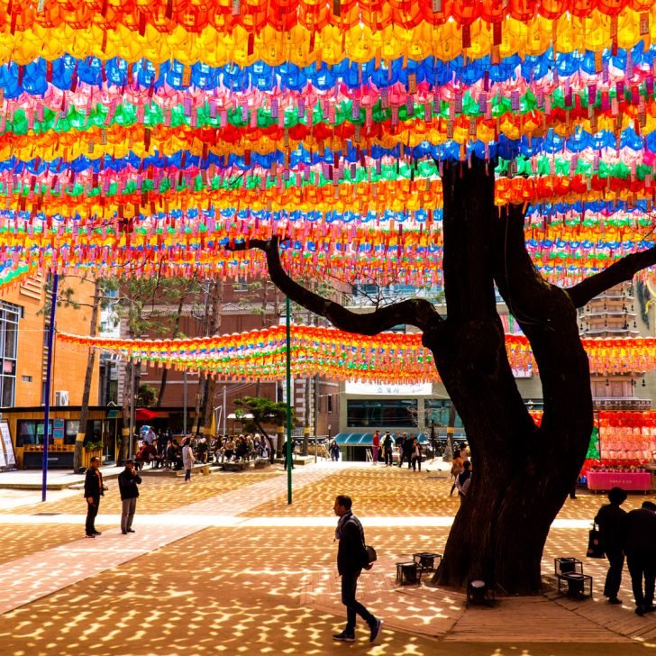 The colors of South Korea