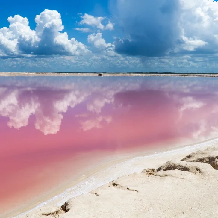 Las Coloradas Pink Lake