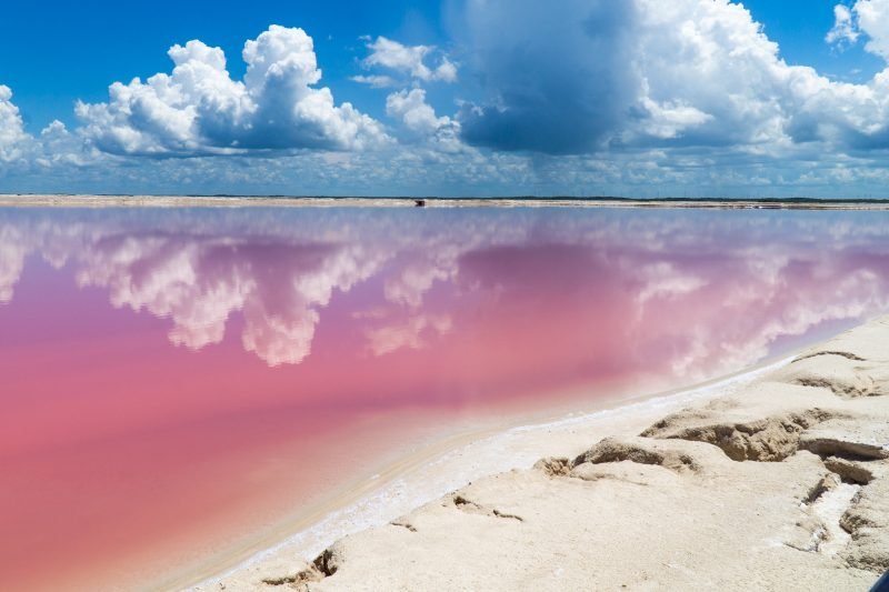 Las Coloradas Pink Lake